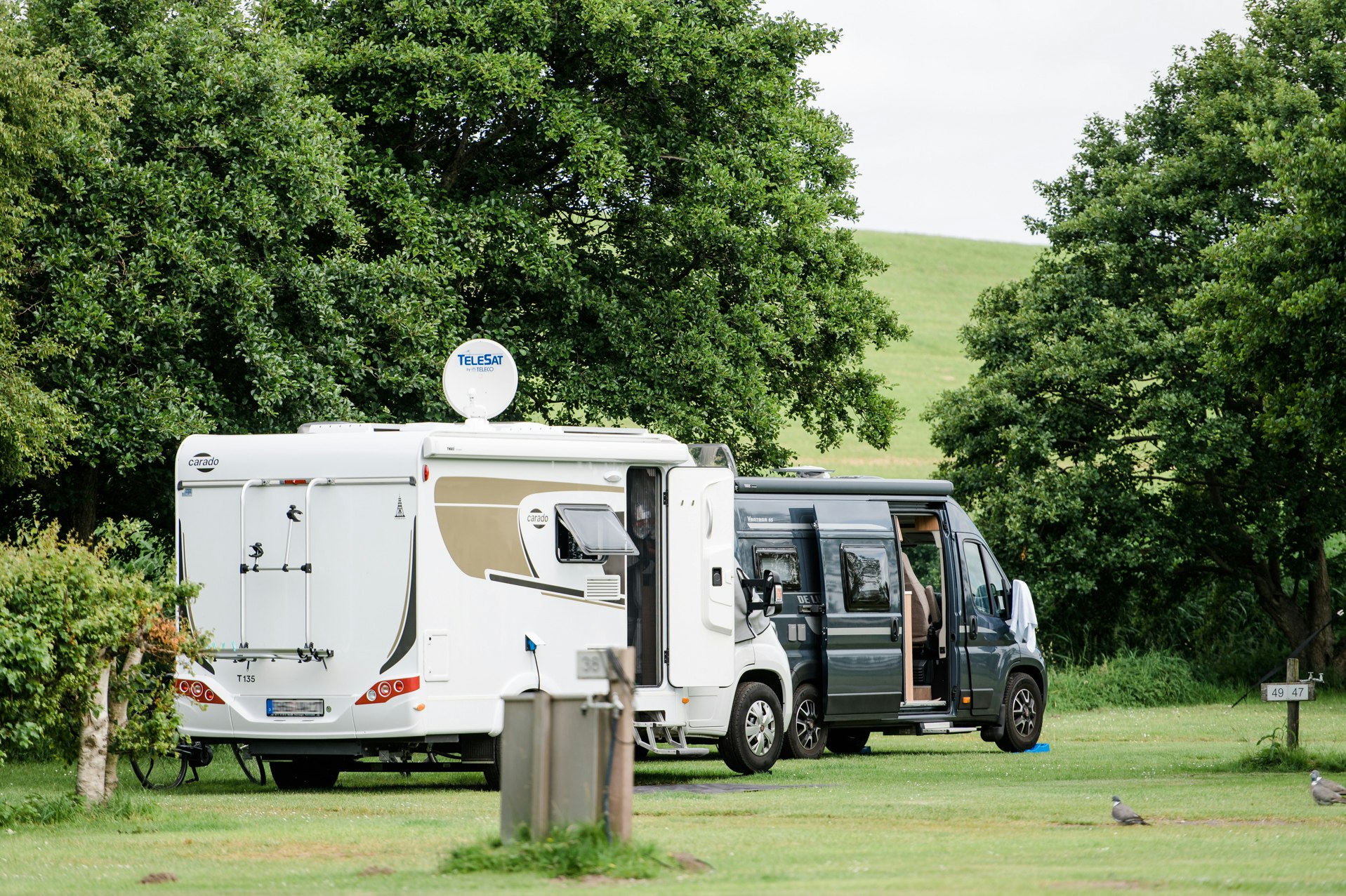 Camping am Deich - Nordsee - Stellplätze auf dem Campingplatz im Grünen