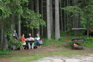 Camping Am Erlaufsee - Camper am Grill vom Campingplatz an einem Waldstück