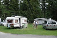 Camping Am Erlaufsee  -  Stellplatz vom Campingplatz auf grüner Wiese