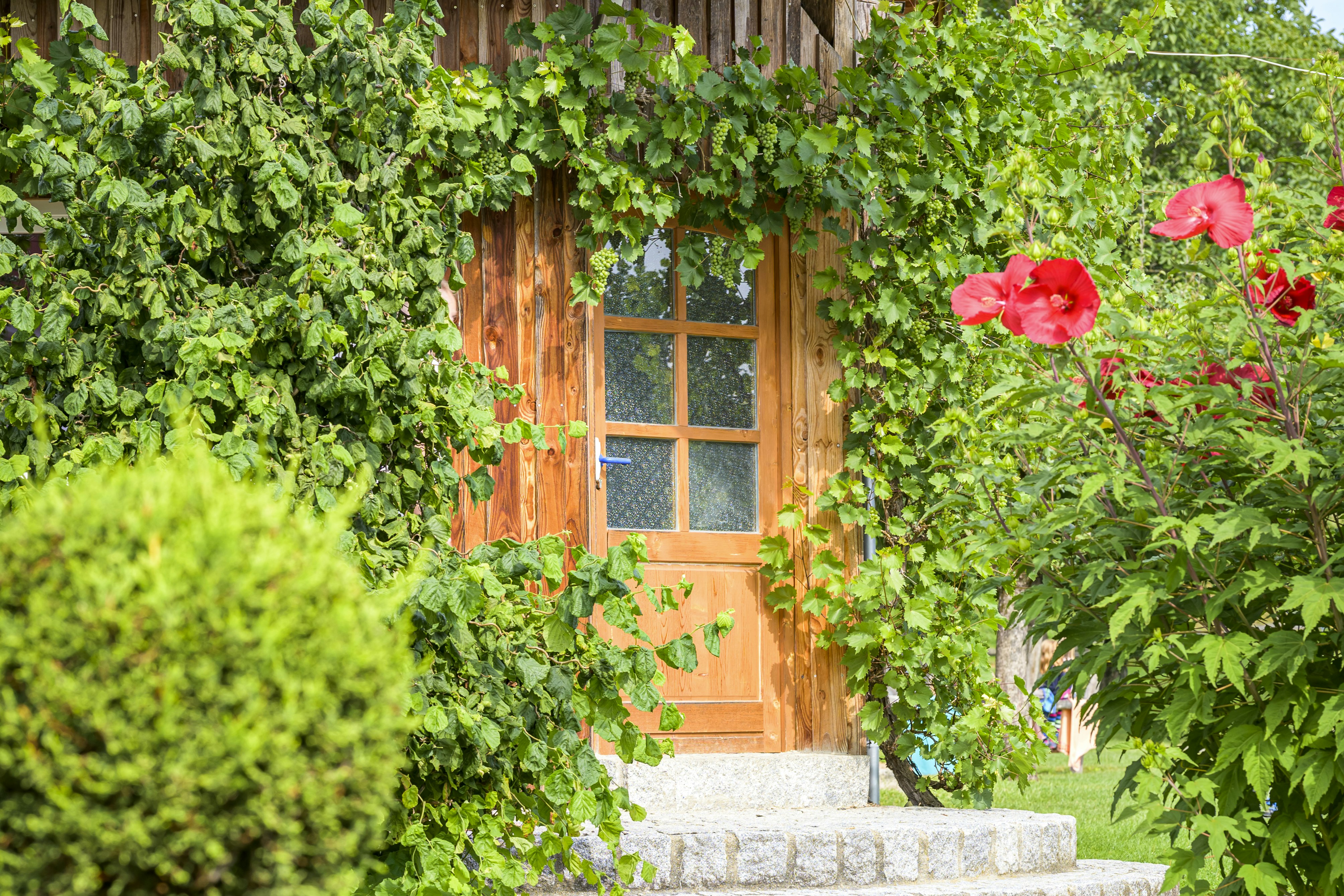 Ferienhof Kramer Camping im Grünen