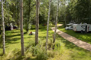 Camping am Kühlhaus Görlitz Standplätze für Zelte, Wohnwagen und Wohnmobile auf der Wiese im Halbschatten unter Bäumen