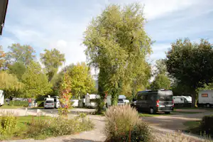 Camping am Möslepark - Stellplatz vom Campingplatz zwischen Bäumen