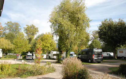 Busses Camping am Möslepark