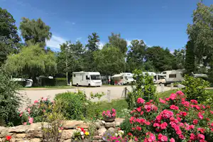 Camping am Möslepark - Wohnwagen- und Zeltstellplatz vom Campingplatz im Grünen