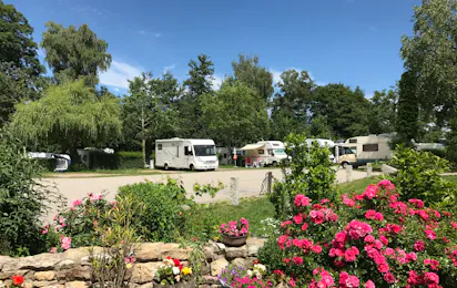 Busses Camping am Möslepark