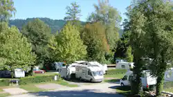 Busses Camping am Möslepark