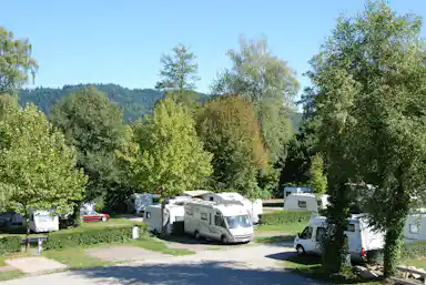 Busses Camping am Möslepark