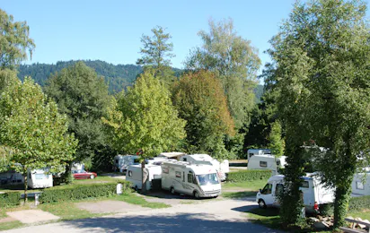 Busses Camping am Möslepark