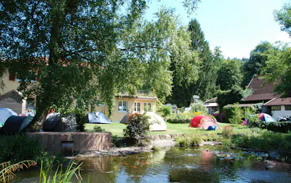 Busses Camping am Möslepark