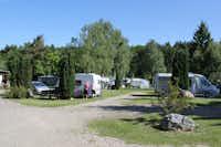 Camping Am Mühlenteich  -  Wohnwagenstellplatz und Wohnmobilstellplatz vom Campingplatz zwischen Bäumen