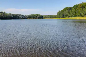Wasseroberfläche eines Sees mit sichtbaren Füßen im Vordergrund, umgeben von grünen Bäumen am Ufer.