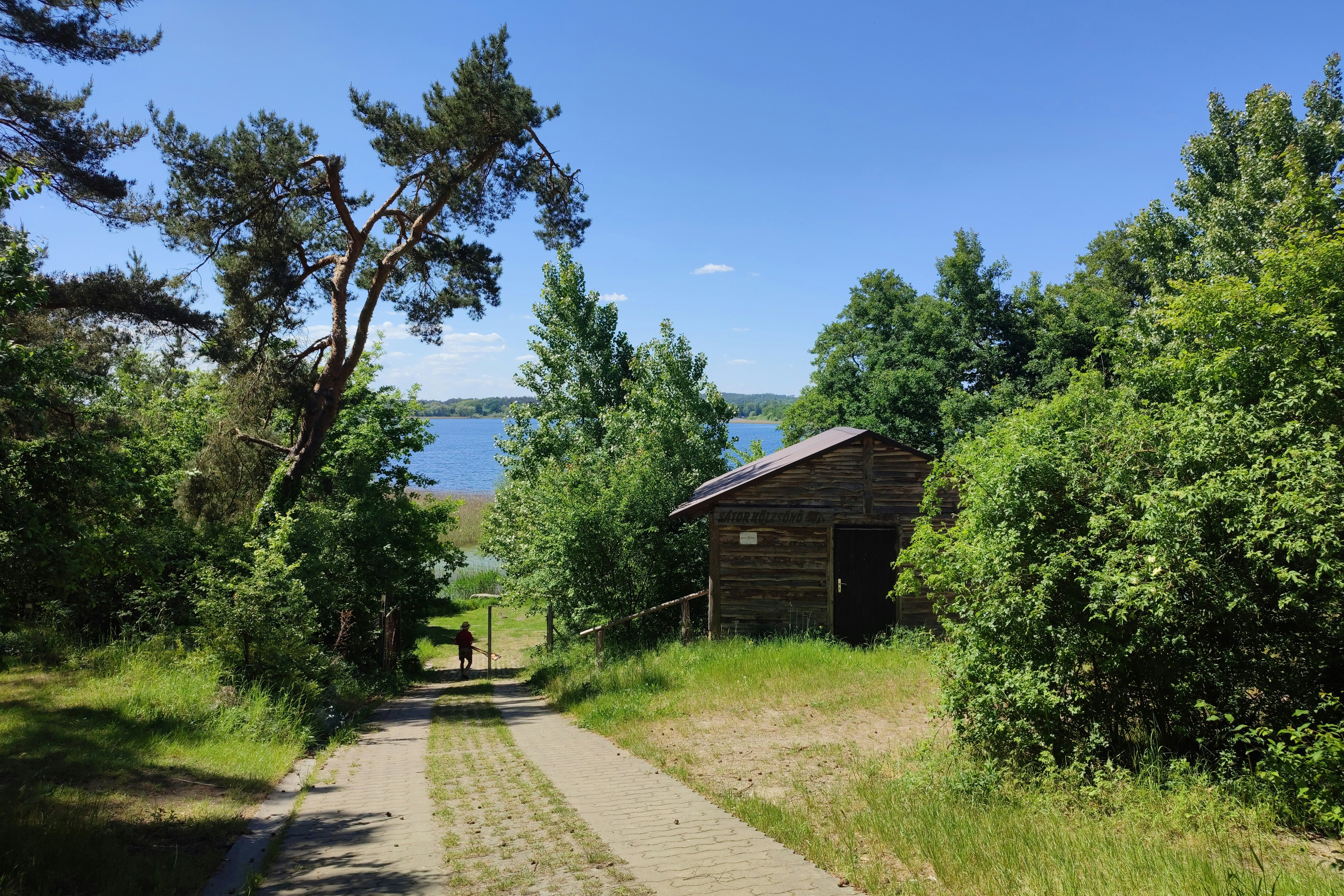 Camping am Oberuckersee - Blick auf den Weg zum See vom Campingplatz aus 