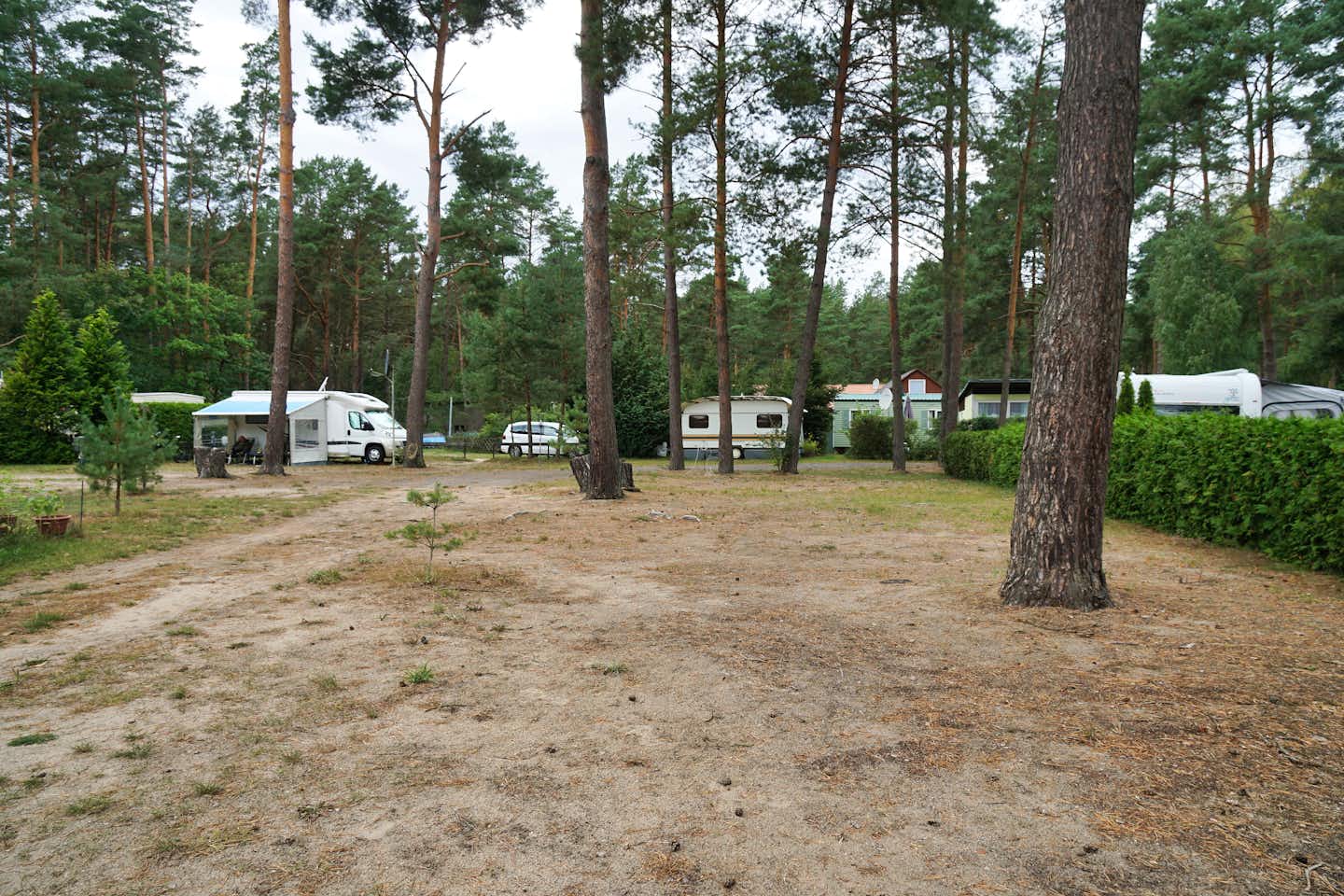 Camping am Reiherholz - Standplatz unter Baeunmen