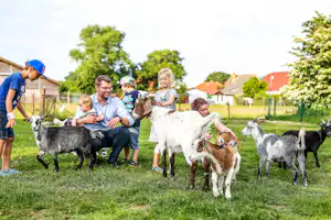 Camping am Schaproder Bodden - Tiere zum streicheln auf dem Campingplatz