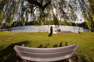 Camping am See International - Bank auf einer Wiese mit Blick auf den See