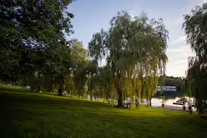 Camping am See International - Liegewiese am See