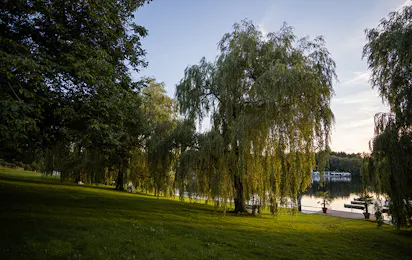 Camping am See International