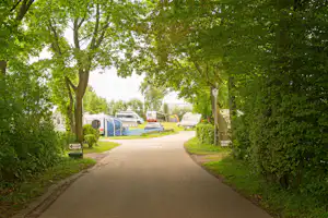 Schmale Zufahrtsstraße zwischen Hecken und Bäumen, am Ende Wohnwagen und ein Zelt im Campingbereich.