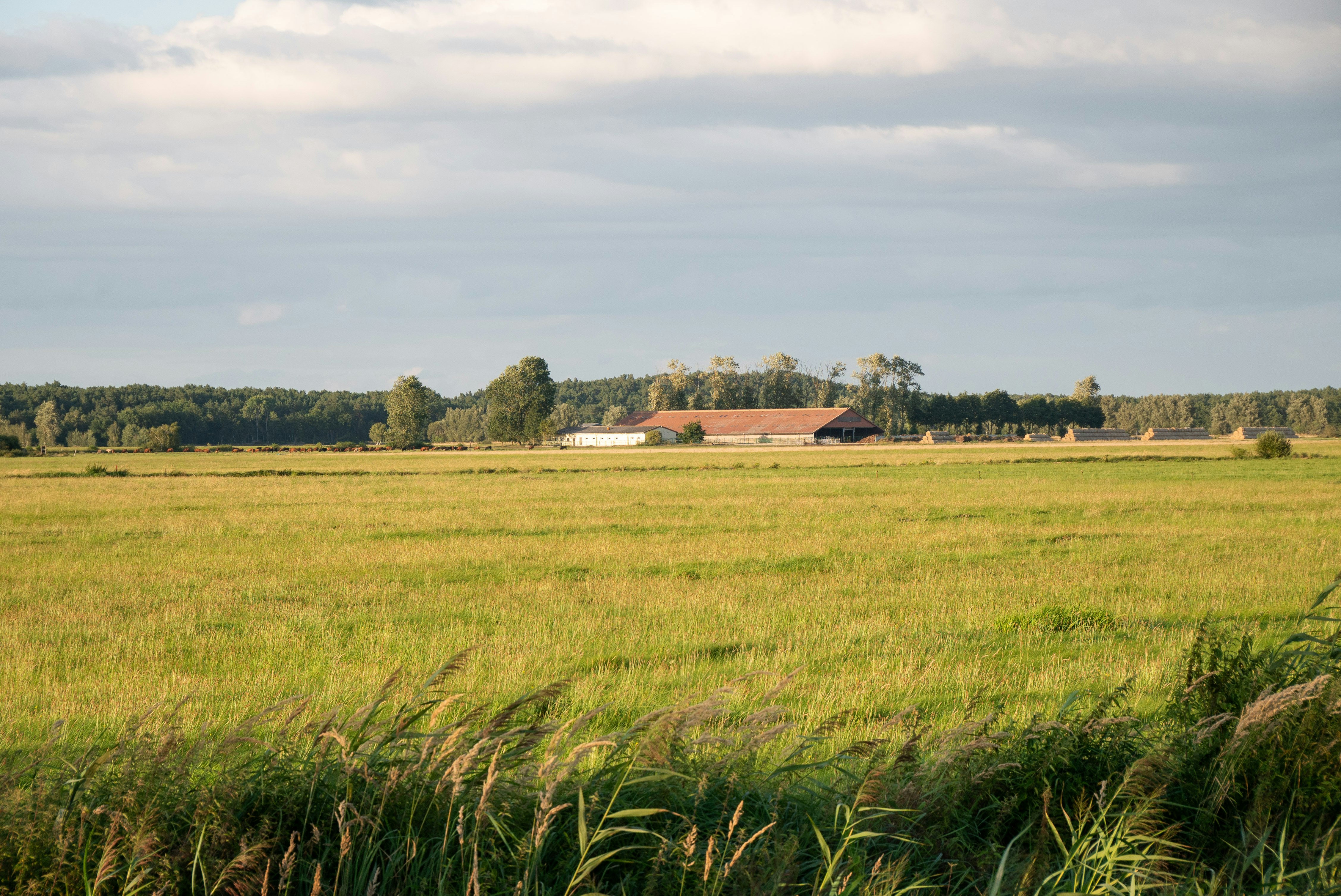 Campingplatz am Wiesengrund  Camping Am Wiesengrund - Blick in die idyllische Umgebung des Campingplatzes