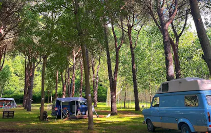 Camping Amalasunta