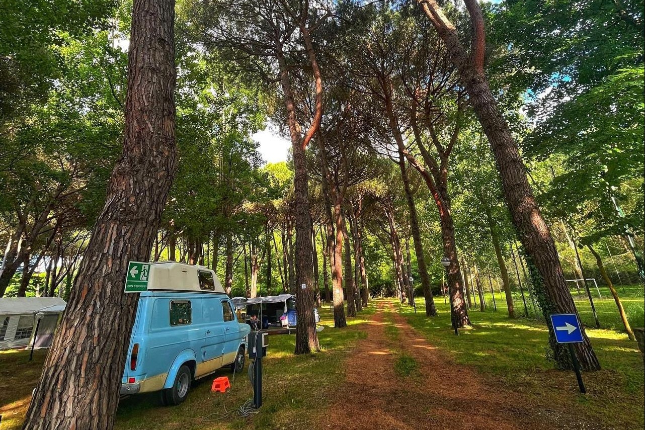Camping Amalasunta - Standplätze im Grünen auf dem Campingplatz