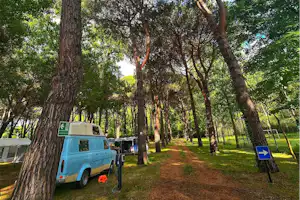 Camping Amalasunta - Standplätze im Grünen auf dem Campingplatz