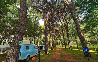Camping Amalasunta