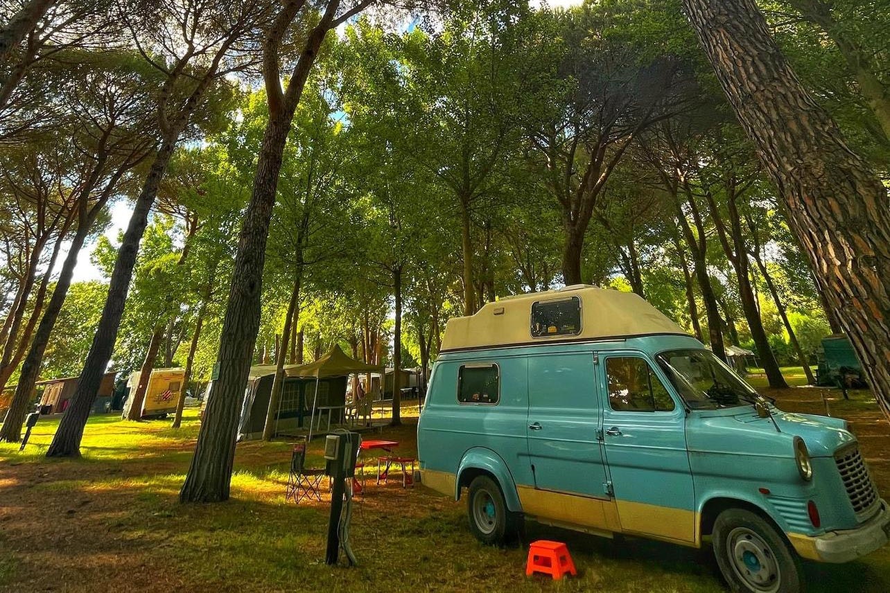 Camping Amalasunta - Standplätze zwischen den Bäumen auf dem Campingplatz