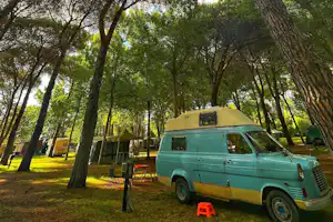 Camping Amalasunta - Standplätze zwischen den Bäumen auf dem Campingplatz