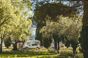 Wohnmobil auf einem Campingplatz zwischen Bäumen, mit Rasenfläche und weiteren Fahrzeugen im Hintergrund.