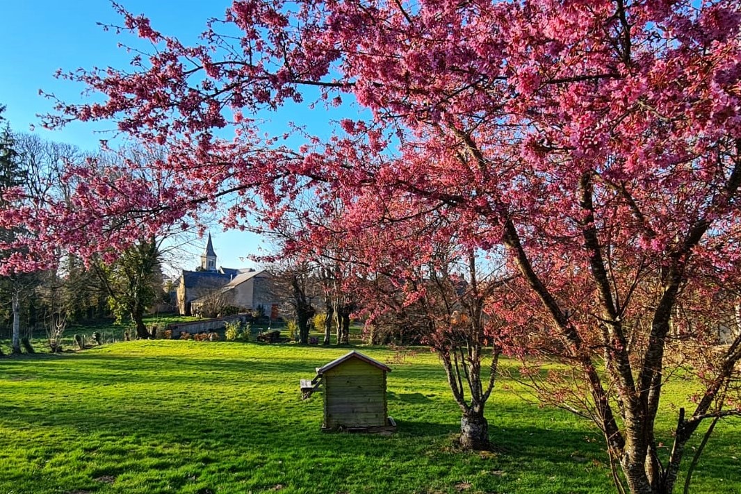 Camping Ambiance Morvan