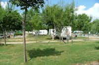 Camping Amici di Lazise - Stellplatz zwischen Bäumen auf dem Campingplatz