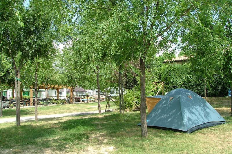 Camping Amici di Lazise - Zeltplatz auf dem Campingplatz