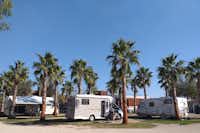 Camping Ampolla Playa - Wohnmobil- und  Wohnwagenstellplätze unter Palmen auf dem Campingplatz
