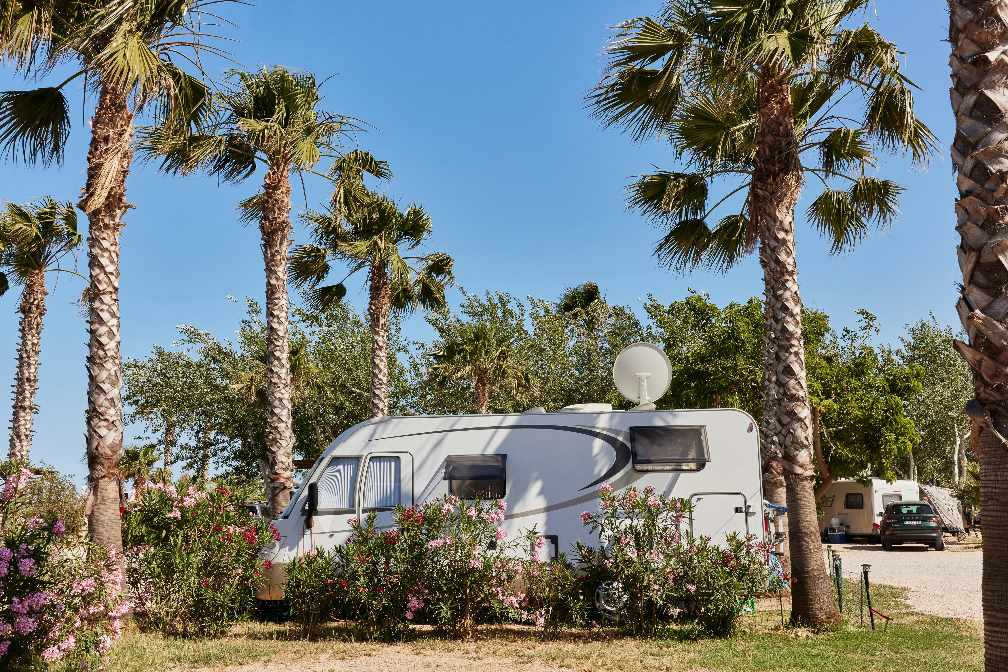 TAIGA Delta de L'Ebre - Standplätze auf dem Campingplatz