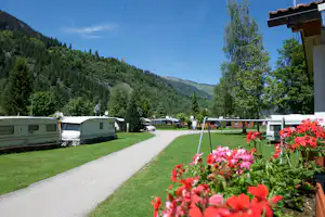 Campingplatz mit Wohnwagen, Kiesweg und Rasen, im Vordergrund rote Blumen, dahinter Berge und dichte Tannenwälder.