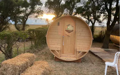 Camping Animal King