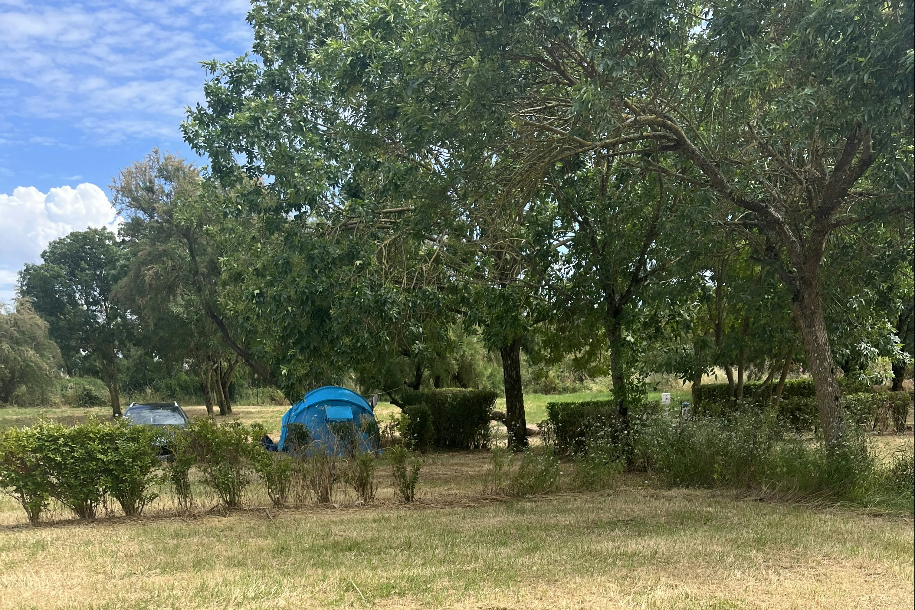Camping Animal King - Stand- und Zeltplätze auf dem Campingplatz