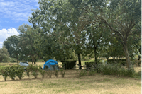 Camping Animal King - Stand- und Zeltplätze auf dem Campingplatz