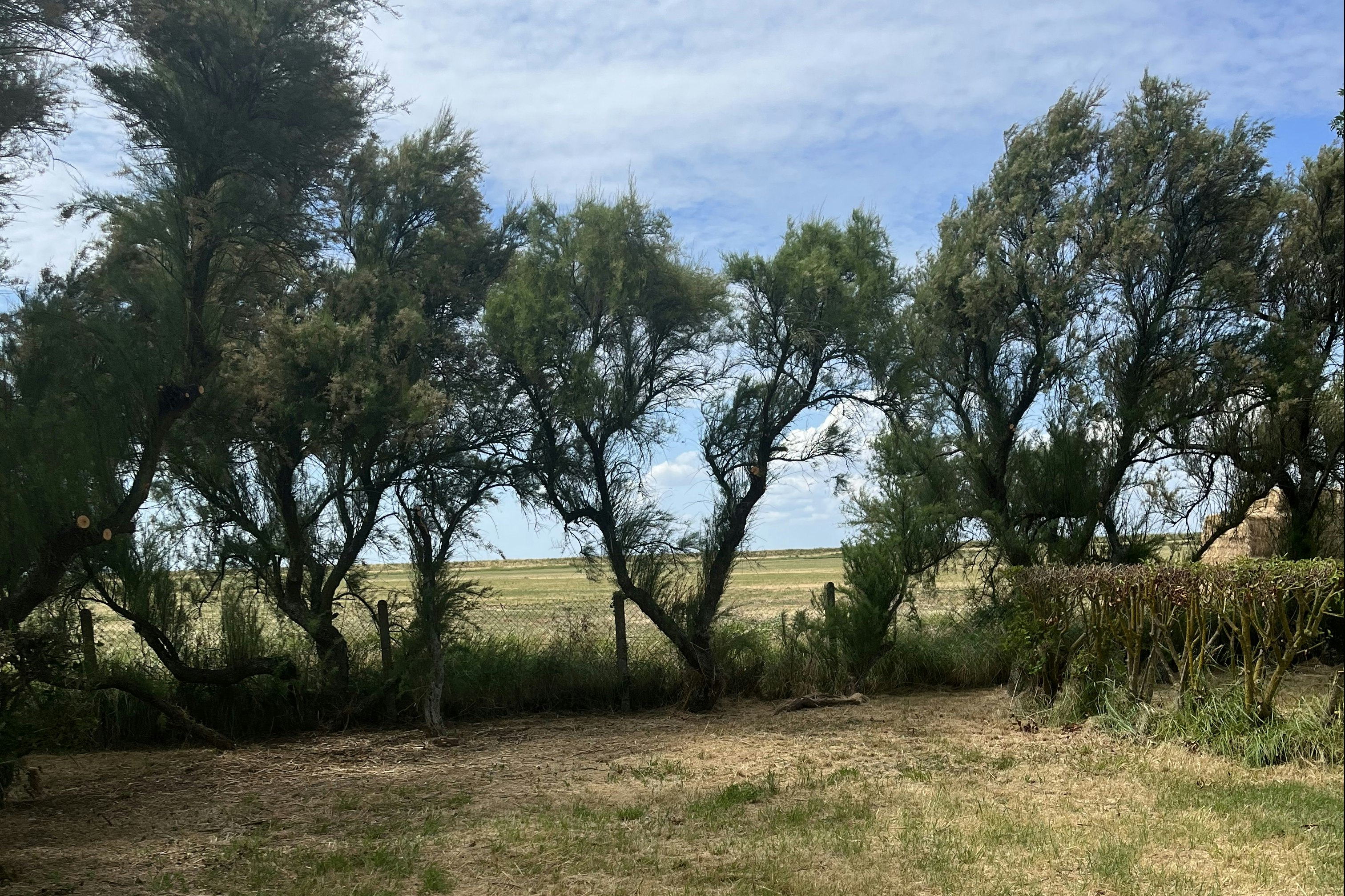 Camping Animal King - Standplatz mit Blick auf das Feld