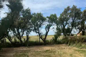 Camping Animal King - Standplatz mit Blick auf das Feld