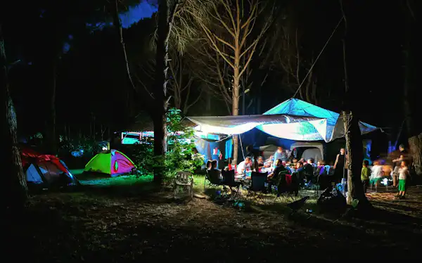 Camping ANT