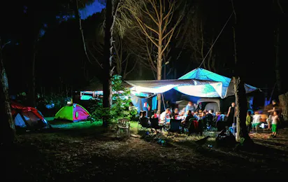 Camping ANT