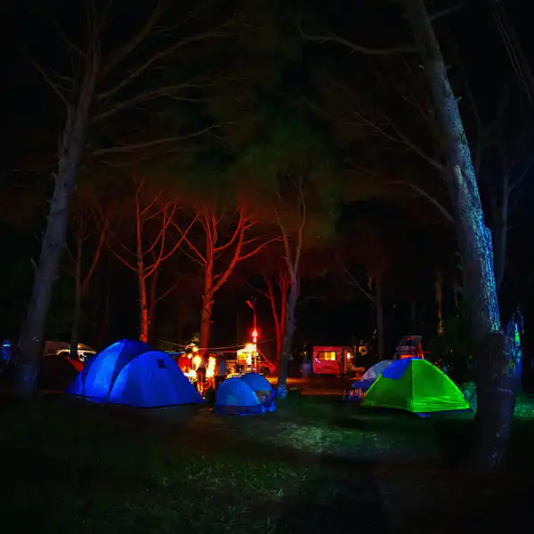 Camping ANT
