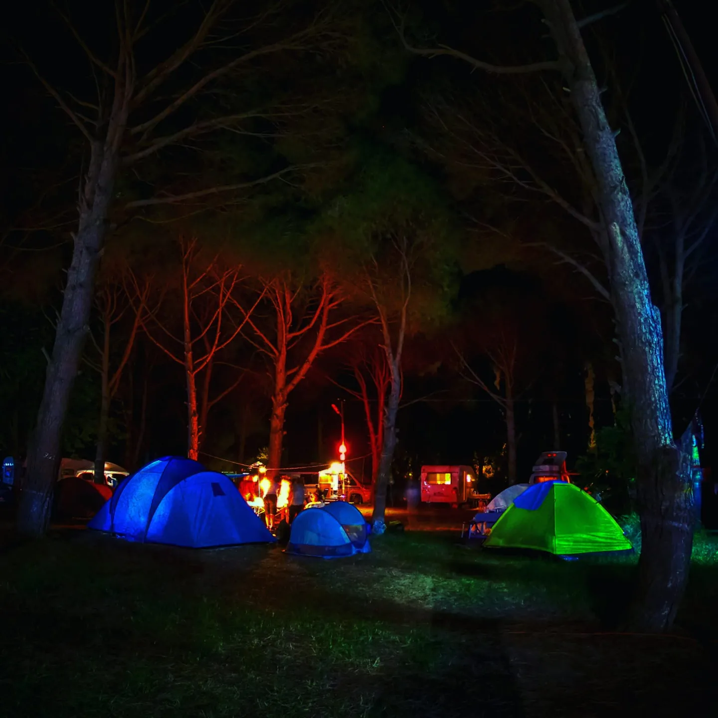 Camping ANT