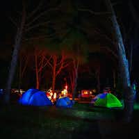 Camping ANT - Campingbereich für Zelte unter Bäumen bei Nacht