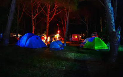 Camping ANT