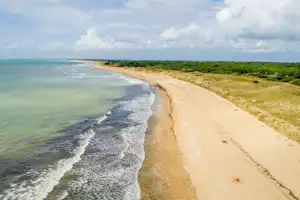 Luftaufnahme von einem langen Sandstrand an der Küste mit Wellen im Meer und grünen Dünen im Hintergrund.