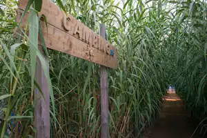 Schild mit Aufschrift „Camping“ am Weg durch dichtes Schilf, dahinter führt ein schmaler Pfad entlang des Wassers.