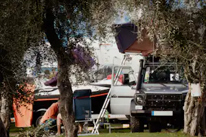 Wohnmobil auf einem Campingplatz zwischen Bäumen, mit Markise, Leiter und Campingstühlen am Stellplatz.